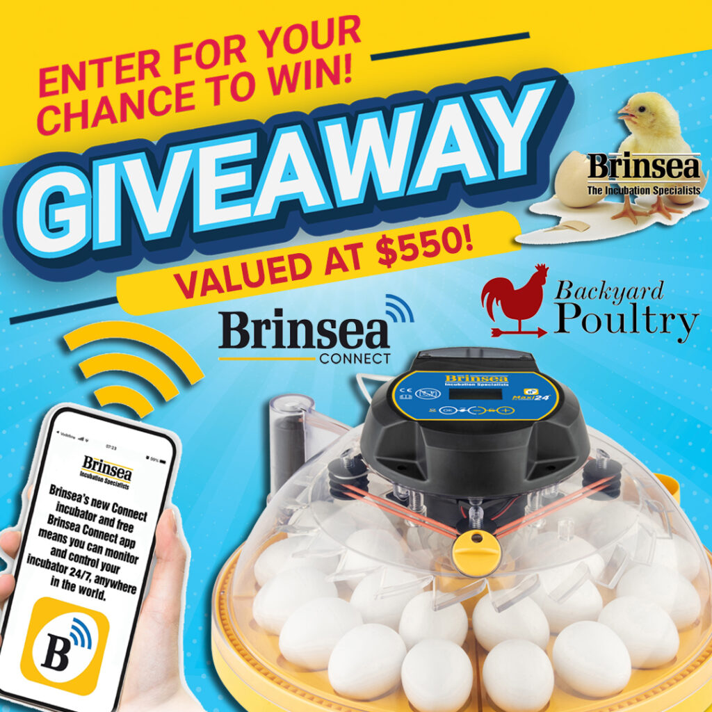 Enter for your chance to win!